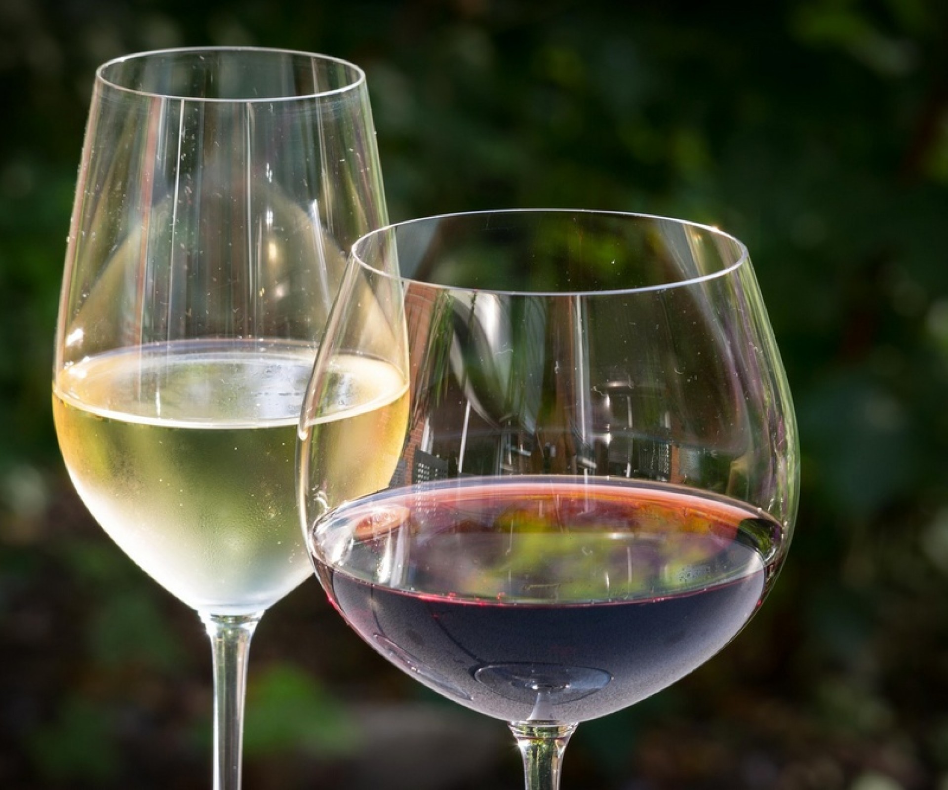 Vino della casa (bianco/rosso)